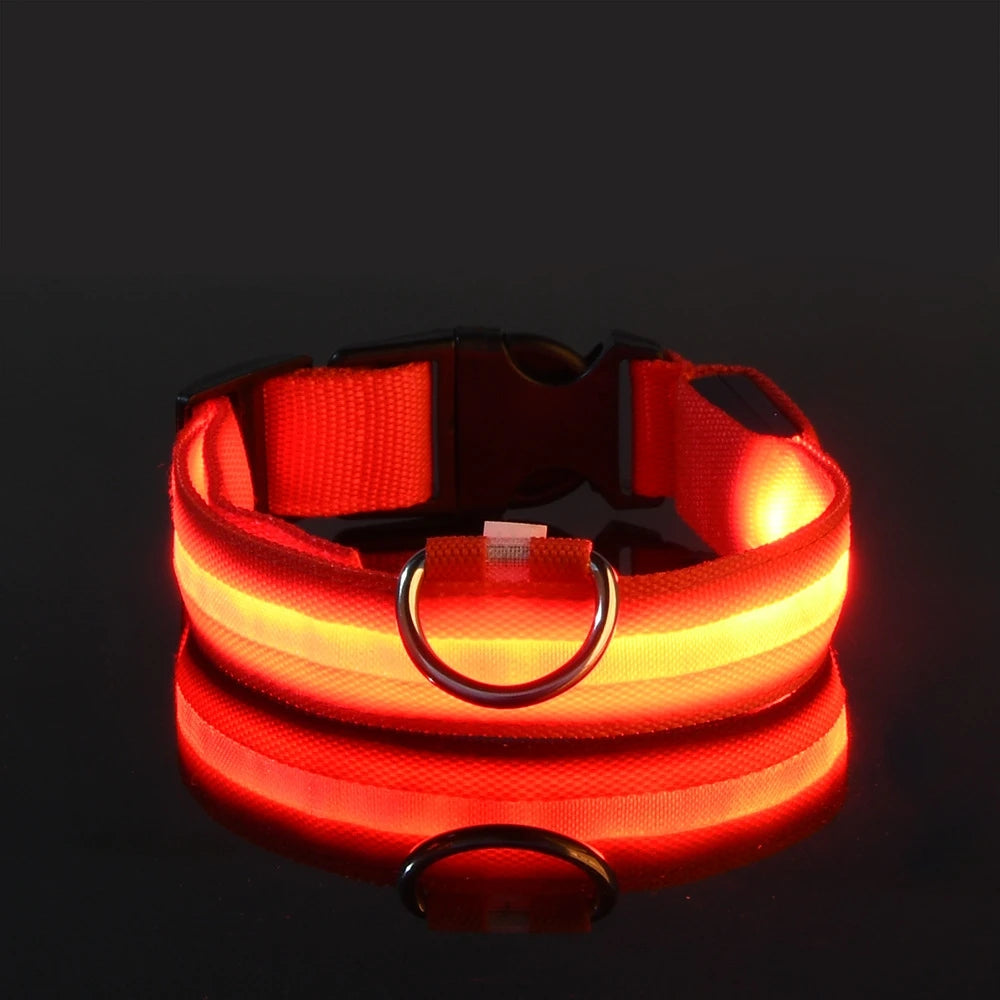 Nylon LED Night Safety Flashing Glow In The Dark Dog Leash Dogs Luminous Fluorescent Pet Dog Collar